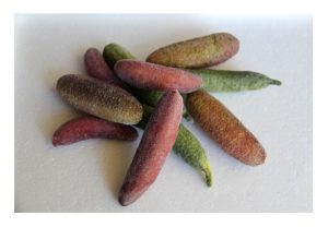 finger-limies
